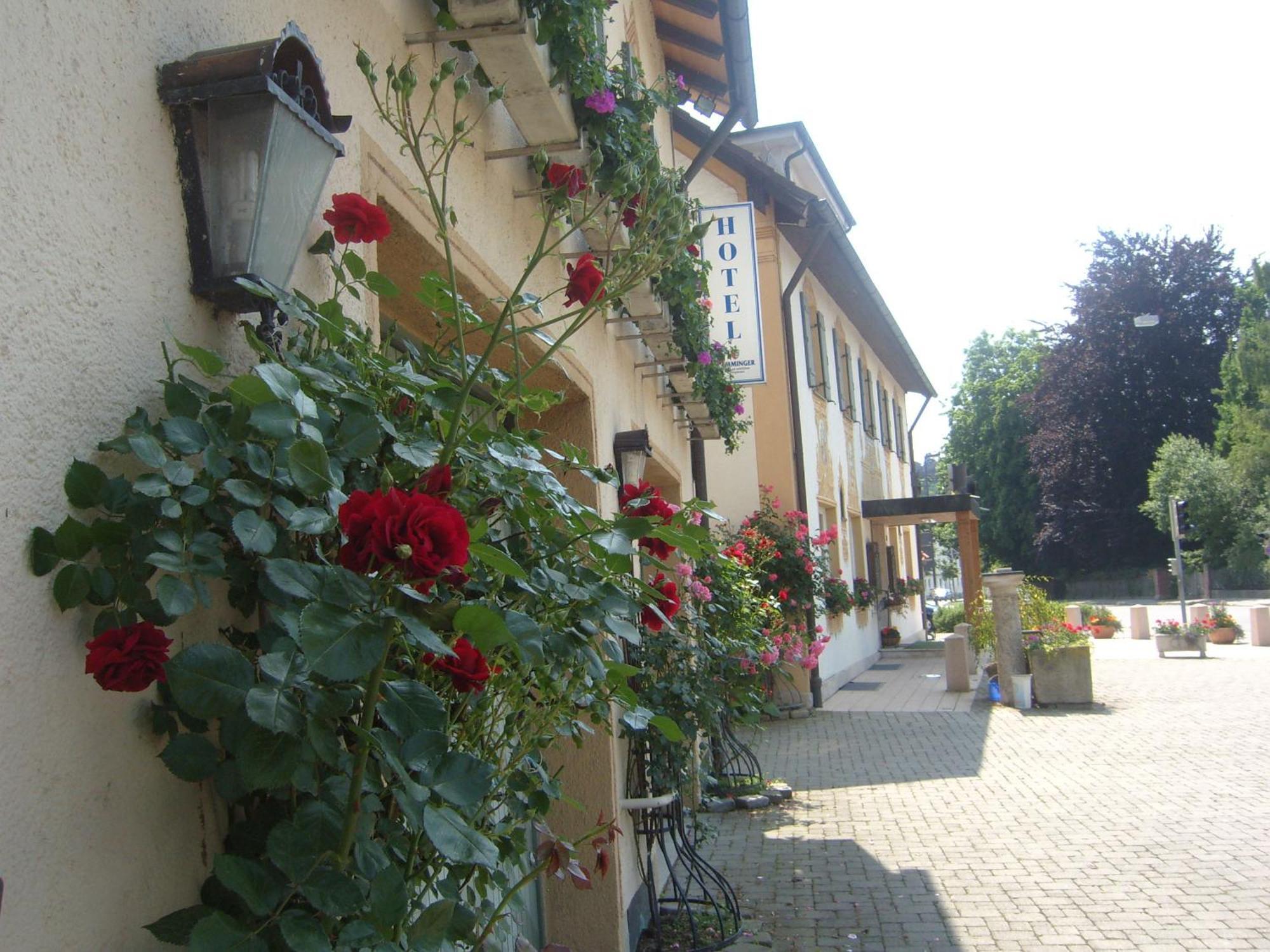 Hotel Gasthof Stern Mindelheim Exterior foto